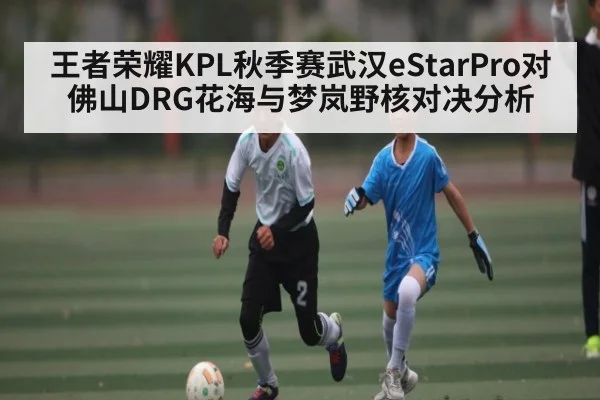 王者荣耀KPL秋季赛武汉eStarPro对佛山DRG花海与梦岚野核对决分析